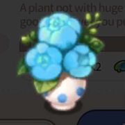 Blue flower.jpg