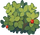 Little berry bush.PNG