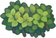 Small Bushes.PNG