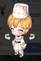 Chef hair 2.jpg