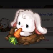 LC nicker rabbit.jpg