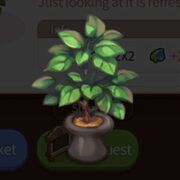 Green pot.jpg