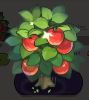 Apple Tree.jpg