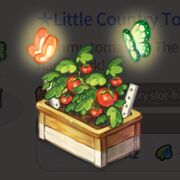 LC tomato box.jpg