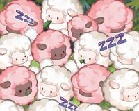 Group of Sheeps.JPG