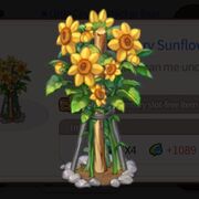 LC sunflowers.jpg