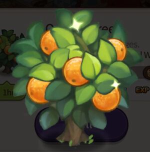 Orange Tree.jpg