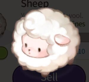 Sheep.jpg