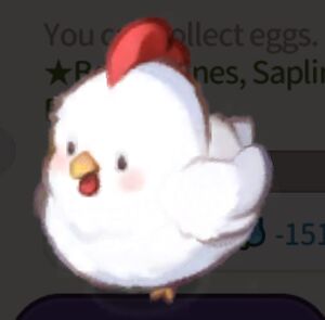 Hen.jpg