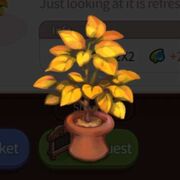 Yellow pot.jpg